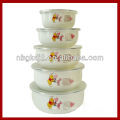 5 pcs enamelware storage mixing bowl set with PP lid/enamel product